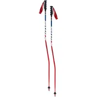 Swix World Cup Pro Sg Carbon Poles Multicolore 115 cm