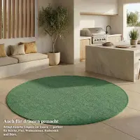 FashionHome GmbH Tapis d'intérieur & d'extérieur - Tapis résistant aux intempéries pour balcon, terrasse, jardin, salon, cuisine - Résistant, Résiste aux rayons UV & à l'eau - Taille 160 x 160 cm, Vert