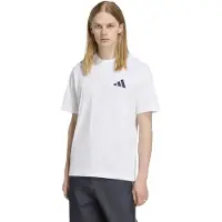 Adidas Fc Bayern Munich Seasonal Graphic Short Sleeve T-shirt Blanc L Homme