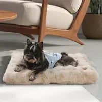 Bingopaw WISFOR Lit pour chien Lavable dessous antidérapant, Coussin moelleux pour chien Tapis pour chien, imperméable Canapé pour chien Housse amovible M : 76x51x10 cm, Beige