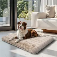 Bingopaw WISFOR Lit pour chien Canapé pour chien Matelas pour chien Coussin pour chien Peluche, imperméable et lavable Housse amovible XL : 105 x 70 x 12 cm, Beige