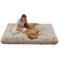 Bingopaw WISFOR Lit orthopédique pour chien, canapé pour chien, coussin pour chien, couchage pour grands chiens, housse imperméable et lavable, amovible, 3XL : 130 x 110 x 12 cm, beige