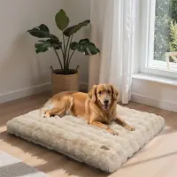 Bingopaw WISFOR Lit orthopédique pour chien Canapé pour chien Coussin pour grand chien Couchage, imperméable et lavable Housse amovible 2XL : 120x90x12 cm, Beige