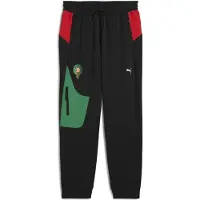 Puma Hommes, Bas de sport, FRMF PUMATECH Track Pants WV (XL), Noir
