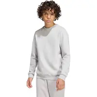 Adidas Entrada 26 Sweat Sweatshirt Gris 11-12 Years Enfants