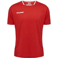 Hummel T-Shirt fonctionnel 'Authentic' gris basalte / rouge vif / noir / blanc