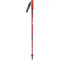 Vola Bâtons De Ski Alpin Junior Nordique Sr Sl Alu-carbone Coupe Du Monde Aluminium