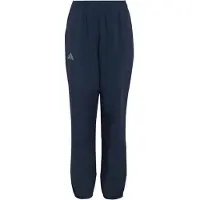 Adidas Terrex Multi Pants Bleu 14-15 Years Enfants