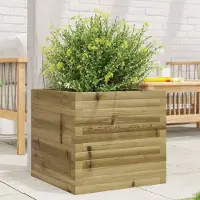Prolenta Maison Exclusive - Jardinière 50x50x45,5 cm, en bois de pin traité