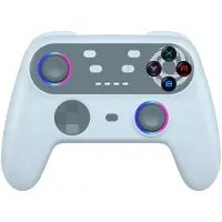 Oniverse Manette sans fil Walli Gris pour Nintendo Switch Nintendo Switch modèle OLED Nintendo Switch Lite Nintendo Switch 2 PS3 PC Android iOS