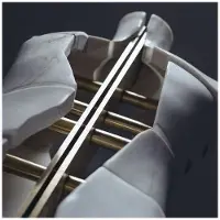 Ginza.se Prequel Tapes - Golden Cage [Vinyl]