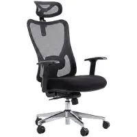 Bauhaus Chaise de bureau ergonomique G-OCNC23-0327-BK, avec soutien lombaire 2D, noire - N