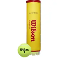 Wilson Balles de Tennis Wilson Championship Extra Duty 4 Boîtes (Boîte 18x4)