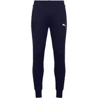 Puma Pantalon Teamgoal 23 Casuals