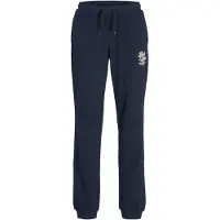 Jack & Jones Elogo Junior Sweat Pants Bleu 14 Years Garçon