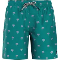 Protest Calvin Swimming Shorts Bleu 176 cm Garçon