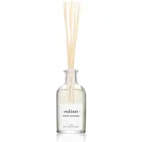 Ambientair Diffuseur d'arôme The Olphactory Mandarine Épicée 100 ml