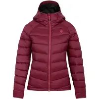 Regatta Dare 2b WIP DWN458909 in Multicolored color size medium