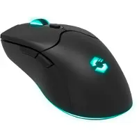 Speedlink SL-680102-BK souris Gaming USB Type-A 4800 DPI