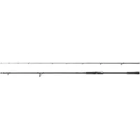 Shimano Fishing Sustain Cx Eva Spinning Rod Argenté 2.99 m / 14-42 g