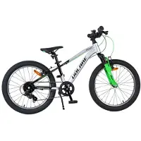 Volare Vélo enfant Boost - 20 pouces - 7 vitesses - Argent/Vert