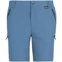 Regatta Leesville Iii Shorts Bleu 42 Homme