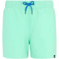 Regatta Short De Bain Mawson Iii