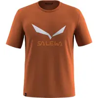 Salewa Solidlogo Dri-release Short Sleeve T-shirt Marron S Homme