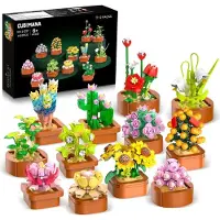 Sonstiges 12 Succulentes Mini kits 1403 pièces Kit botanique Bureau Décor à la maison Adultes Enfants