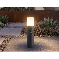TRIO Lampadaire sur pied avec détecteur de mouvement, anthracite, hauteur 30 cm, pour l'éclairage des allées de jardin