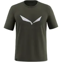 Salewa Solidlogo Dri-release Short Sleeve T-shirt Vert M Homme