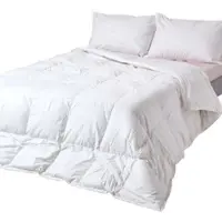 Homescapes Couette d'été 150 x 200 cm, couette d'été aérée avec garnissage 110 g/m², couette légère en duvet, duvet et plumes d'oie de la plus haute qualité, classe de chaleur 2