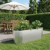 Prolenta Maison Exclusive - Jardinière surélevée pour jardin, en acier inoxydable, dimensions : 120 x 40 x 40 cm