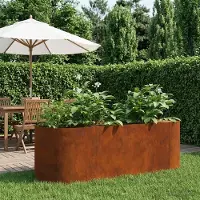 Prolenta Maison Exclusive - Jardinière surélevée pour jardin, en acier résistant aux intempéries, dimensions : 120 x 40 x 40 cm