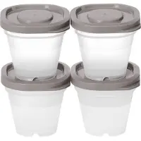 Smartstore 791770 boîte fraîcheur "Fresh", 4 x 50 ml