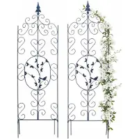 Relaxdays Tuteur pour plantes grimpantes (116 cm, 35 cm)