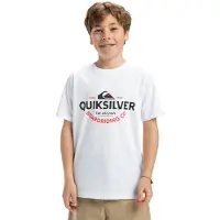 Quiksilver T-shirt à Manches Courtes Ev Typed Out