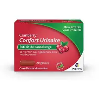 Viatris CRANBERRY CONFORT URINAIRE GELULE 20 ml Gel(S)