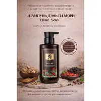 DAENG GI MEO RI , Shampooing pour Tous Types de Cheveux, 16,9 fl oz (500 ml)