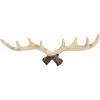 Jojomino Crochets Muraux en Bois de Cerf Vintage - Cintre Mural de 28 Cm, Porte-Manteau, Porte-CléS pour Crochet Mural DéCoratif, A