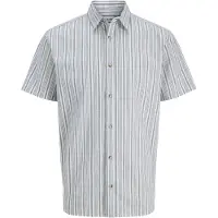 Jack & Jones Chemise 'JJCHAD' bleu marine / blanc