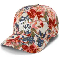 Dakine Reset Unstructured Cap Multicolore