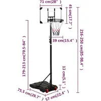 vidaXL Pied de basketball Transparent 216-250 cm Polycarbonate