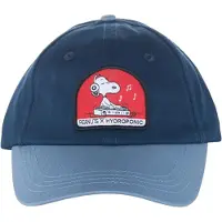 Hydroponic Peanuts Dj Cap Bleu Homme