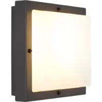 SG-Leuchten Applique extérieure,BASSI,1 x E27/42W IP65 anthracite
