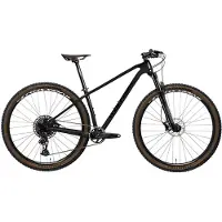 Wolfbike Saturnus 29´´ Gx Eagle Mtb Bike Noir 19