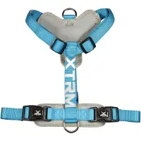Nayeco Harnais Cronos Flash Bleu Visibilité Et Confort Pour Chien -