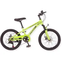 Buxibo - Vélo Austin - VTT pour enfants - Cadre en acier - 20 pouces - Vert