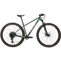Wolfbike Saturnus 29´´ Gx Eagle Mtb Bike Vert 17