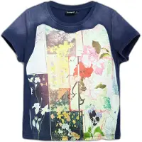 Desigual T-shirt bleu foncé / mélange de couleurs